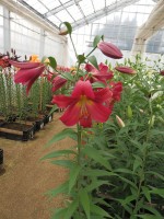 [4140 Musassi No201.JPG]